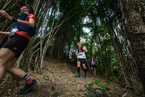 BIB: 
                            <button type="button" onclick="openModal(19395766)" class="btn btn-primary btn-sm float-right btn-popup" data-toggle="modal" data-target=".modal-high-quality">
                        <i class="fas fa-shopping-cart"></i> Add to Cart
                    </button>
                                            <button type="button" onclick="isThisMe(19395766, true)" class="btn btn-success btn-sm float-right btn-popup btn-isme hidden" data-toggle="tooltip" data-placement="bottom" title="นี่คือรูปของคุณใช่ไหม คลิกที่นี่เพื่อเอาเข้าอัลบั้ม">
                        <i class="fas fa-plus"></i> Add to album
                    </button>
                    <button type="button" onclick="isThisMe(19395766, false)" class="btn btn-warning btn-sm float-right btn-popup btn-isnotme hidden">
                        <i class="fas fa-ban"></i> Remove from album
                    </button>